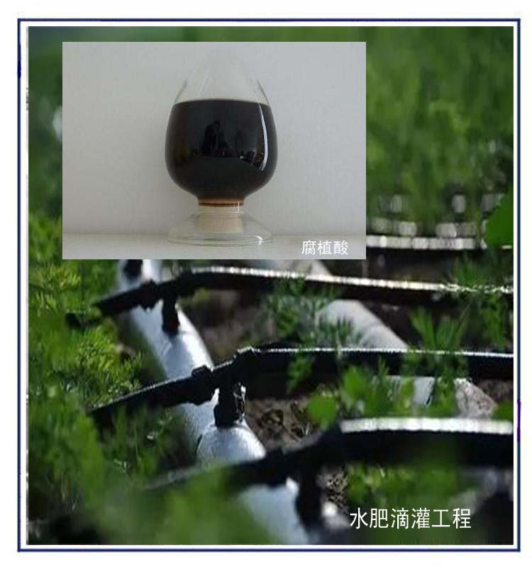 無標題 5.jpg 無標題 5.jpg